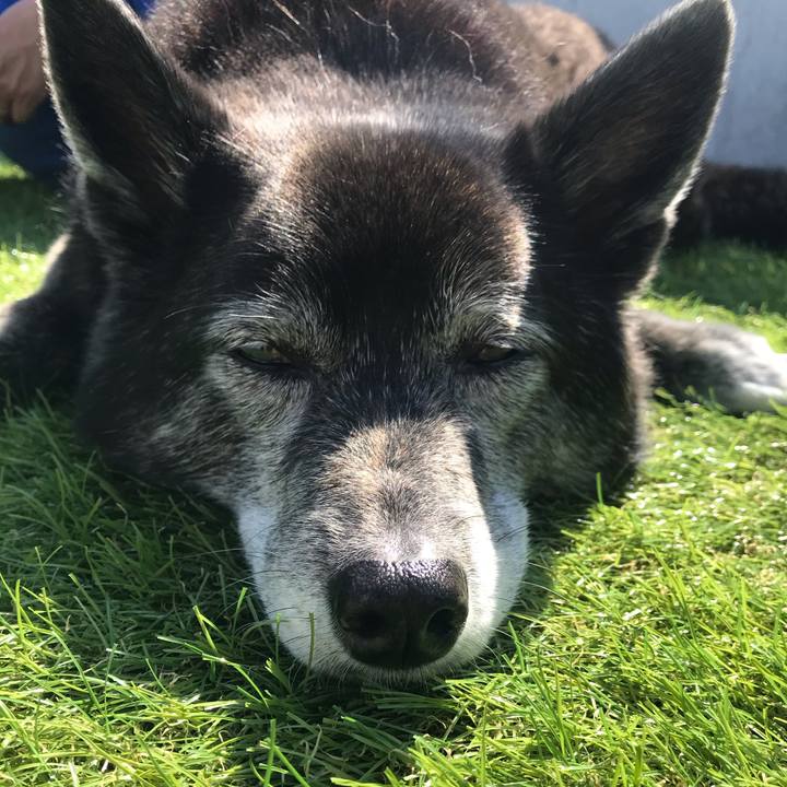 342fe51c 7e2b 4985 bcd5 cf91622300e8 1619829095765