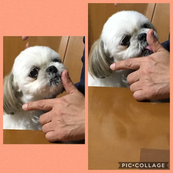 342fedf4 40c3 415a 8be3 52d4557989dd 1571397191417