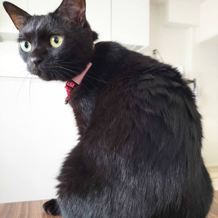 34301afe f5d4 404e 8660 5babe1473ea7 1683415512222