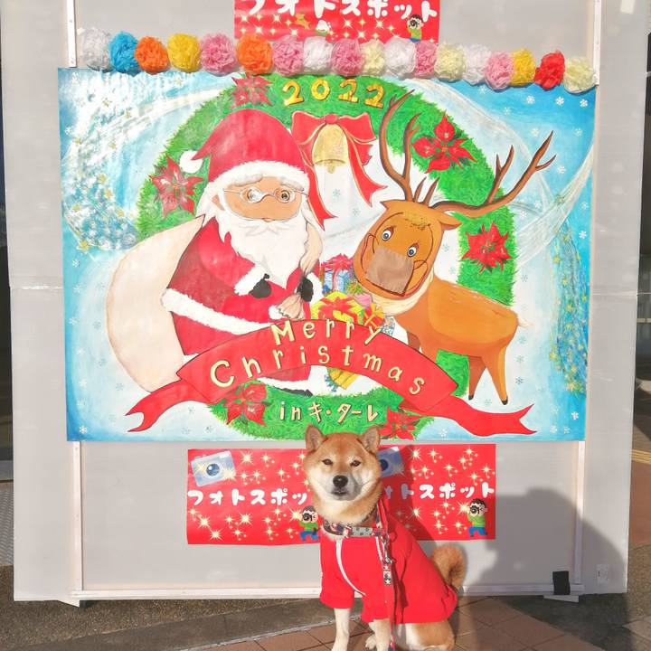 34305626 6377 4a3e be2e 6a4dff7c258c 1671344999232