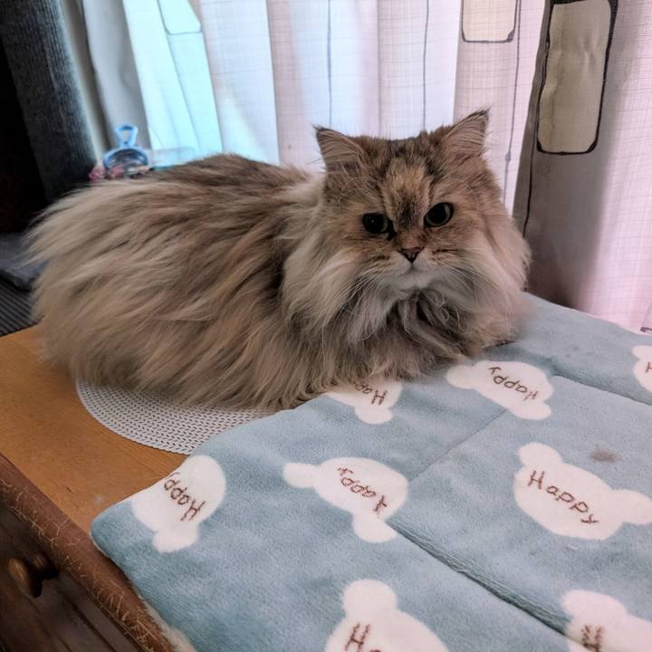 34306a87 53dc 4589 bb45 d17dae89136f 1736813287120