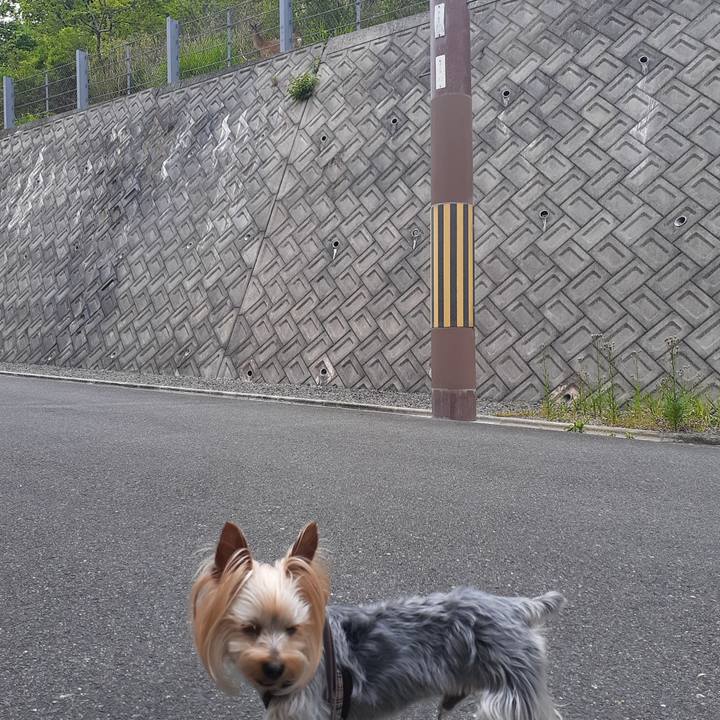 34306ff7 eed4 45f9 97b7 16c86c725033 1620645240397