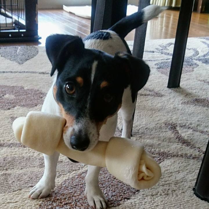 343086a3 711d 40a5 95c3 05873cfd782c 1558313299125