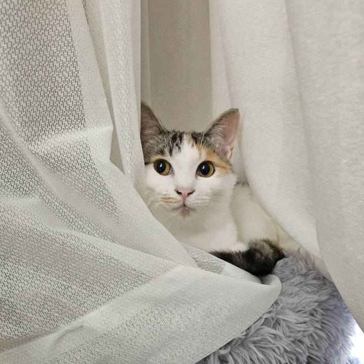 3430917d b866 4454 a8cb cf43c55c4244 1757417067173