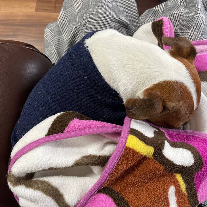 3430cc48 2c1c 4e85 a675 6ce4a4cf4163 1643525824044