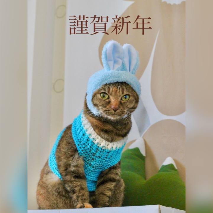 3430f43d a9f7 4f4f ad1b 7b0287dcc7e5 1672534592370