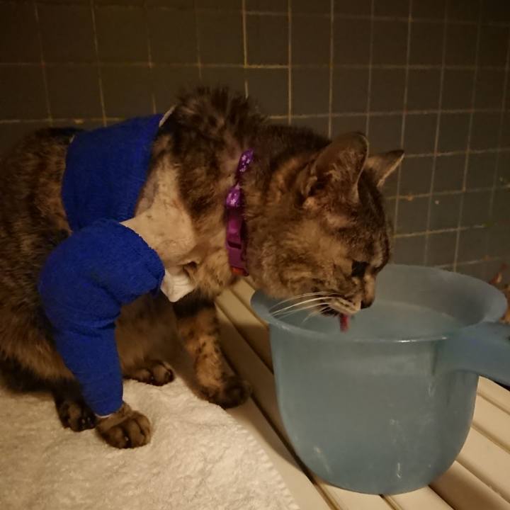 3430fdb3 ef43 4a50 8662 c3b7ea4ffd55 1586860250065