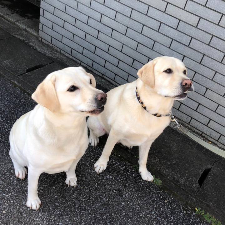 34310240 ea35 4669 80cc c21eb44ffd25 1602241100394