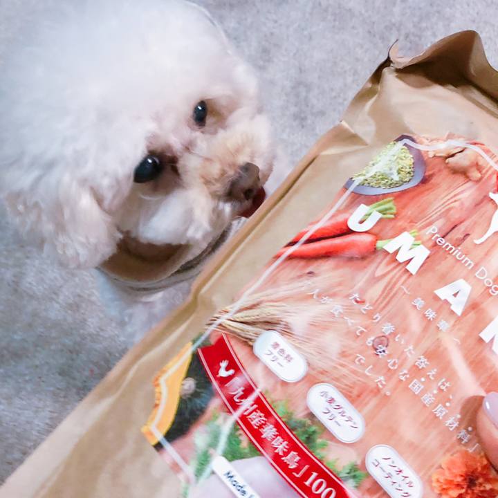 34312617 dfdf 4b71 920d 17f2b7cceea7 1547213489206