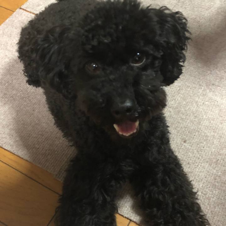 34317455 b0b3 4acb acfc 851d77aff3e9 1526895213807