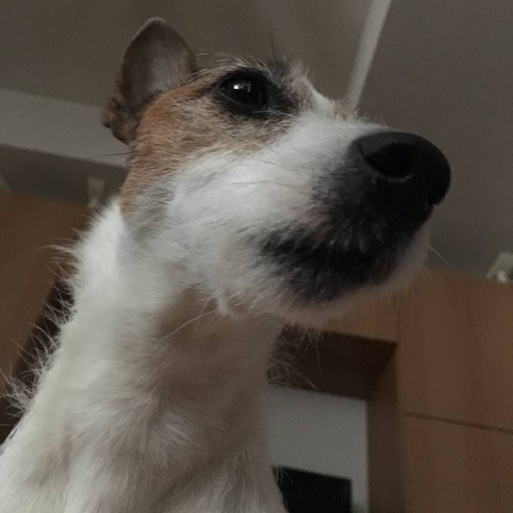 3431b7f2 76f6 4107 8c90 b5ef8f60ea1c 1555539428138