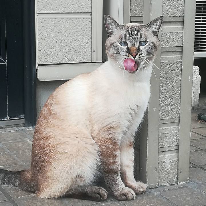 3431c1b6 2960 44a3 9812 e02507637895 1537153857715