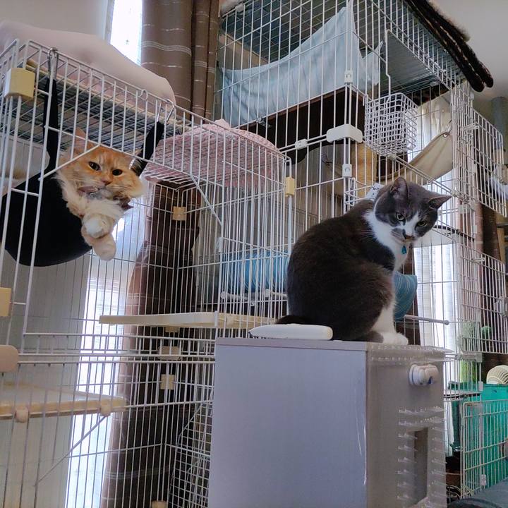 3431cbdd 2de7 489d a0f3 5503e6be0ca1 1720083274062