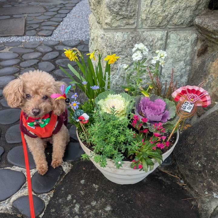 3431ed64 7733 4966 8cba 340ddf6b67dc 1767315173207