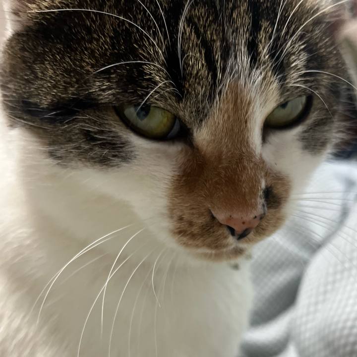 3431fcb2 f5de 48c8 9ba7 d33f45049525 1769510069029