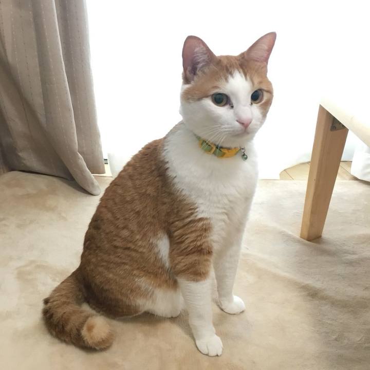 34322286 4e60 4c49 8137 a99a0cbe86dd 1520551624287