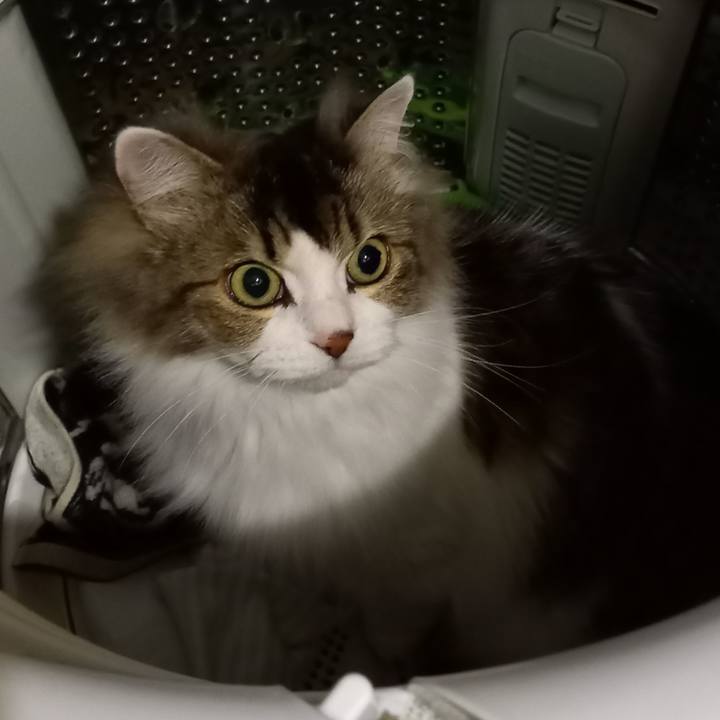 34325c07 b64a 4477 b350 c8b21266f189 1647302078858