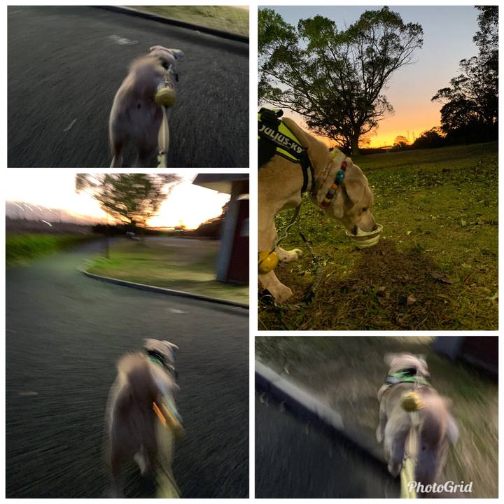 3432ad8d a139 4dae 9022 29a902b896a9 1545660468458