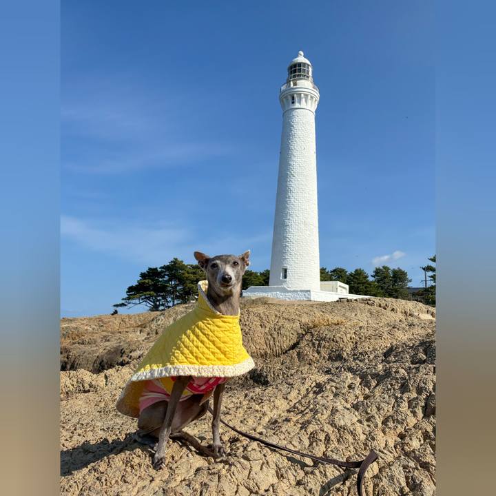 3432c79f 6cb1 4f2a 90a6 f3208bd195db 1763640686745