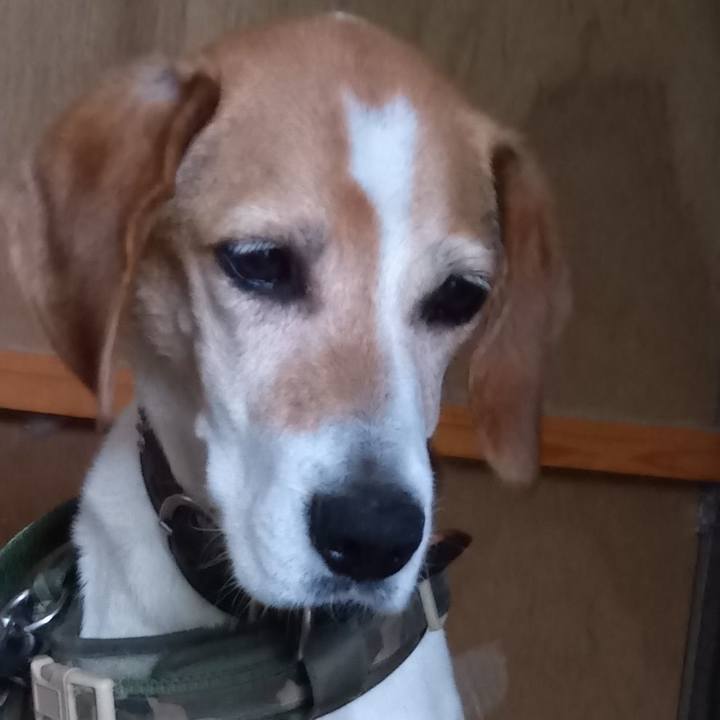 3432e4c2 11ee 48c3 9370 900cd98e90dd 1732167194210