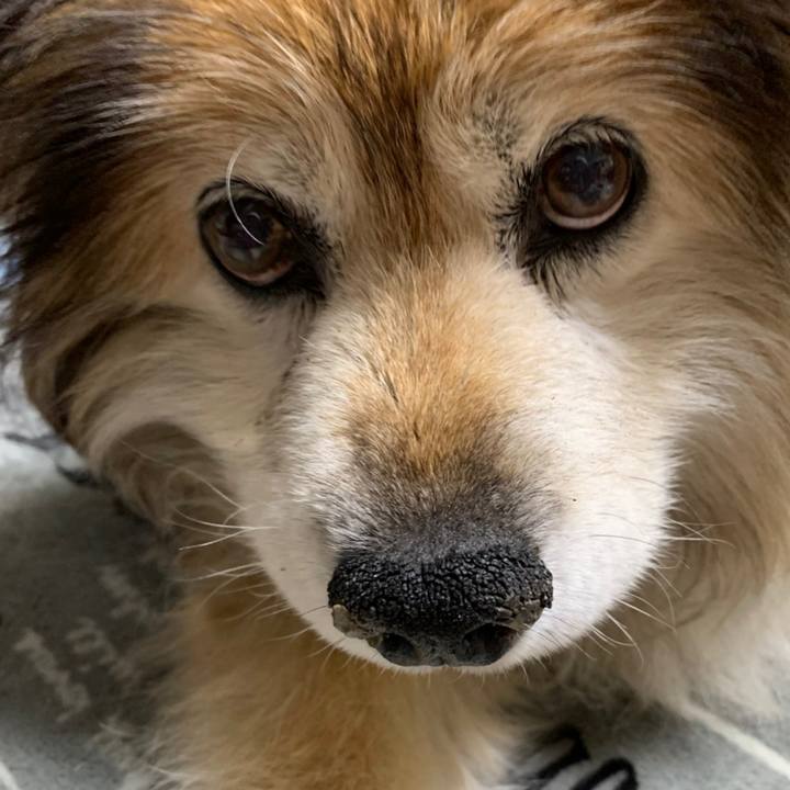 34330bed c121 4b06 82a3 8f9c13b7fdf0 1606112567205