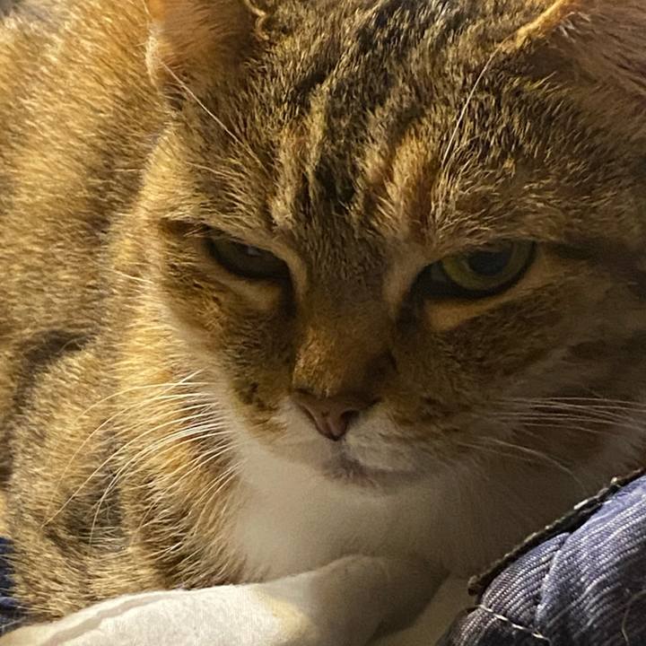 3433170f 7566 438a b77f 5101bbf70f89 1614675608530