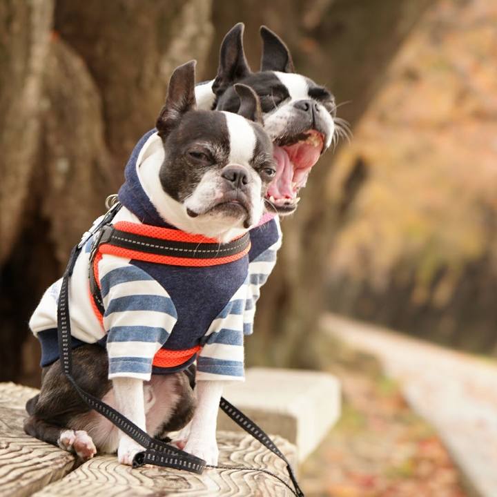 34331fc1 d39b 47f9 a194 c82707b7bc32 1511681351078