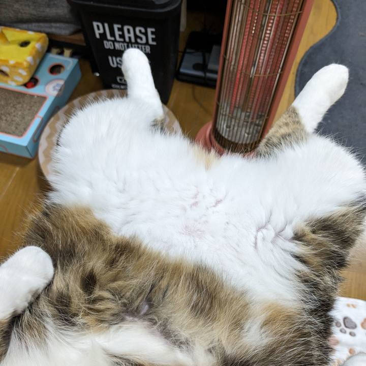 34332c96 59f3 4be4 adb3 6574f33a8f72 1699830739944