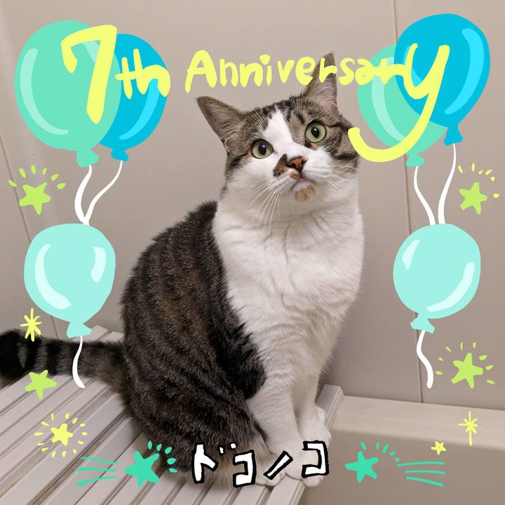 34334580 12ee 4e05 a4b9 d8678161ed82 1685971359086