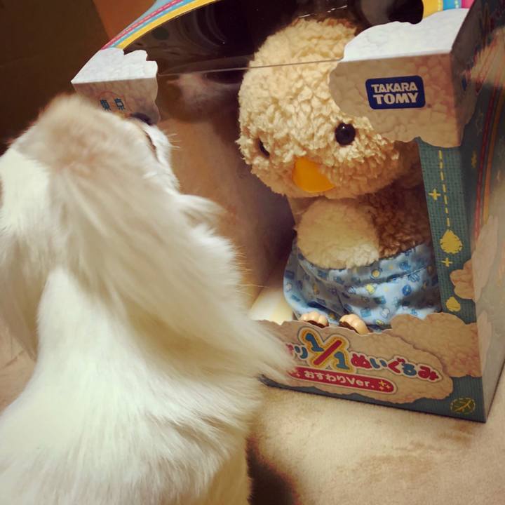 343359b7 7b04 48a8 bcd2 405bc3404cbb 1527415226836