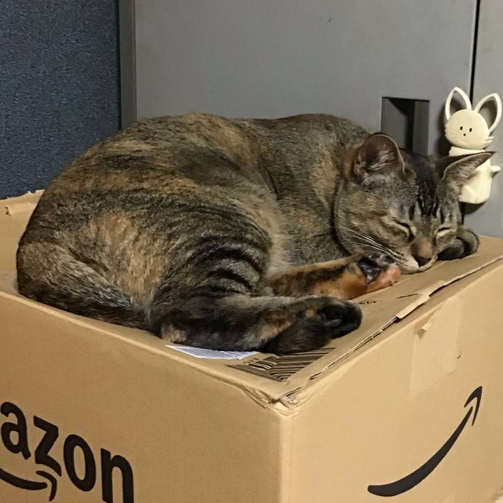 3433910e 38a0 4cc8 bc29 ccedee3bdace 1581844286254