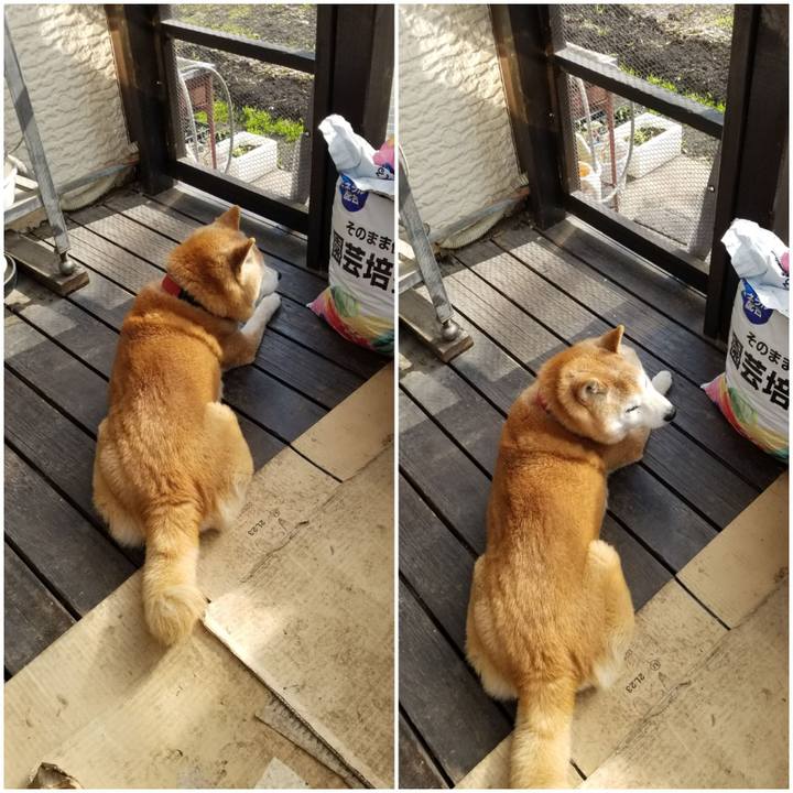 343394ca 4ef6 4365 b69b 9ba76294ab6f 1743982134309