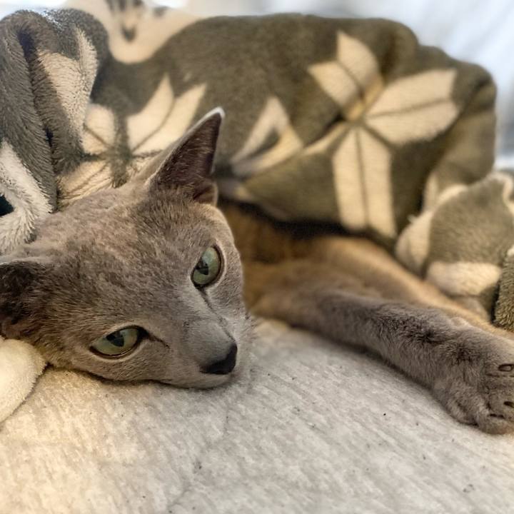 34339999 eee9 4af2 a7ae cc5e2ee82e9d 1681197065103