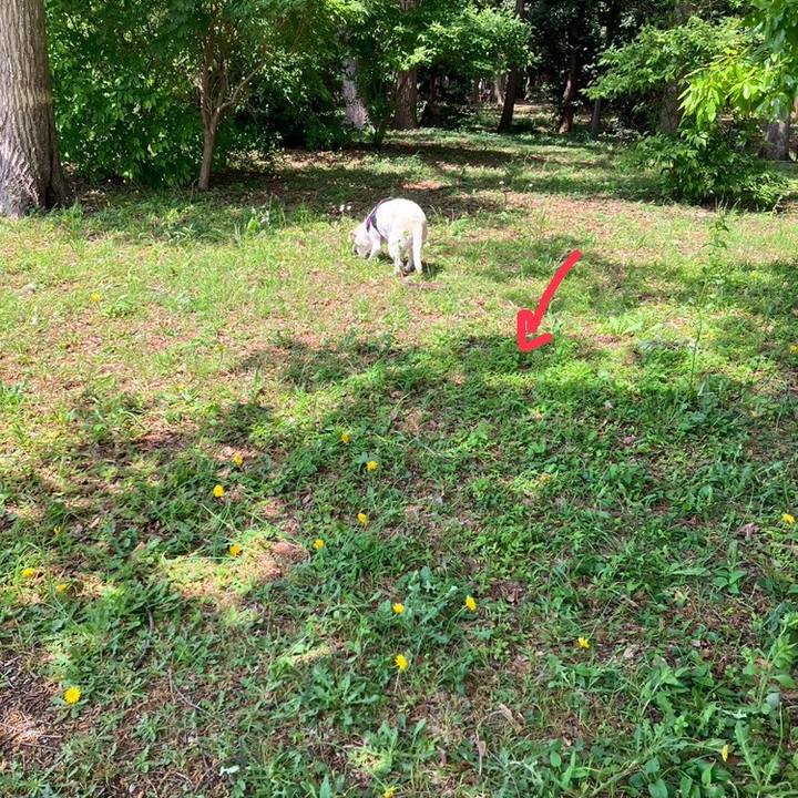 3433f183 e852 41c3 9d2b a72859c0e4c7 1683351908992