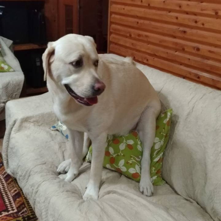 34340958 b76e 41e8 b89b 58f09e3614b1 1541223001732