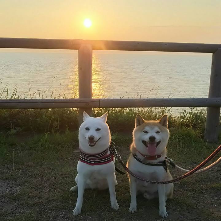 343423a9 04e3 49c7 983c 5281cb5eb7c5 1529837371519