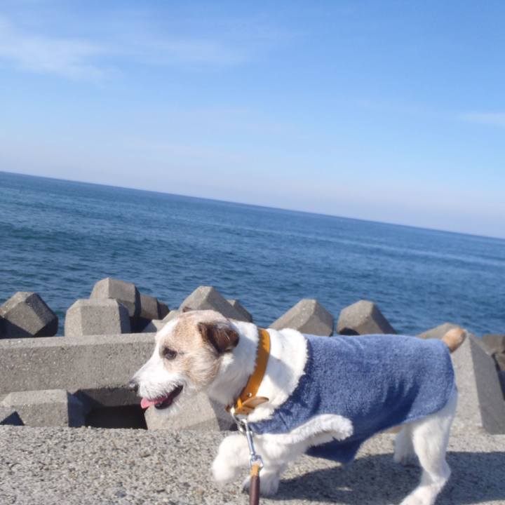 34342f7e 5bed 4481 9a41 2202e147a235 1548839243273