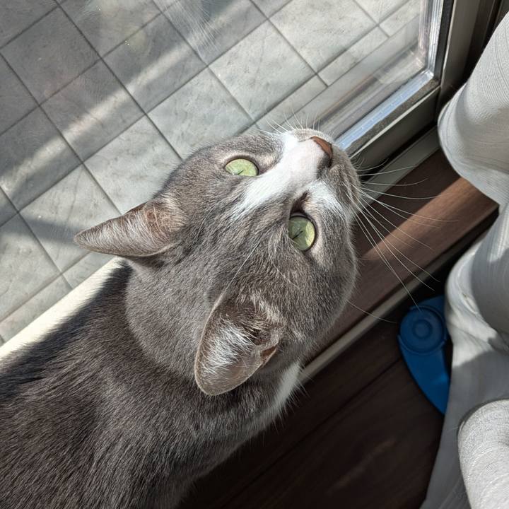 34343130 1eec 4ea6 90cc f46c0c5251f0 1774663314606