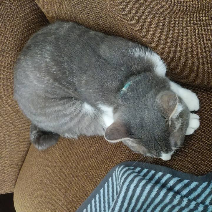 343438e7 d2aa 4cc4 aea6 0c48a9be7a3d 1590205425974