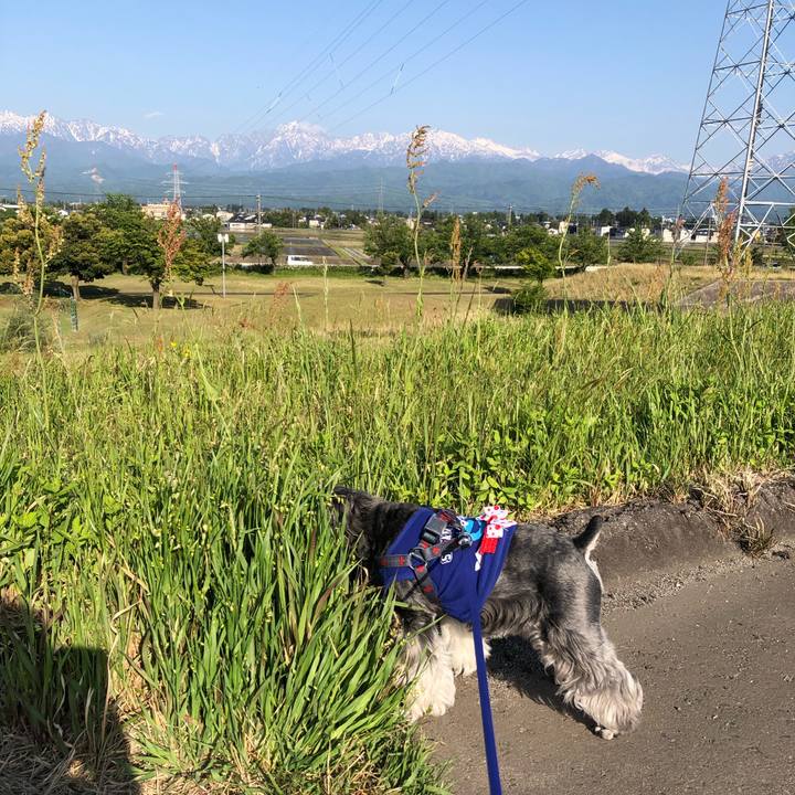 34348b48 b916 4895 a89a dcbd368beb31 1683037959918