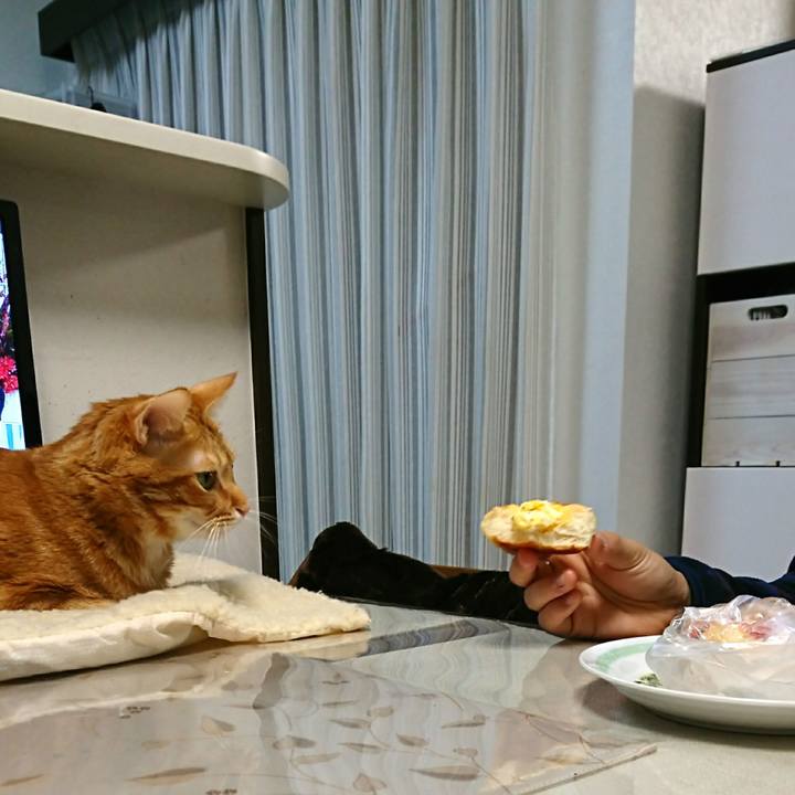 34348c4f c968 49d5 b1c9 f4399e44ca11 1545088267141