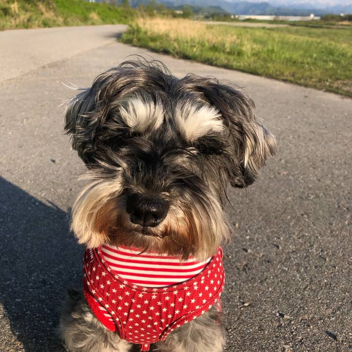 3434bbc9 96f6 45fc b16f f72375f91d8b 1557579100501