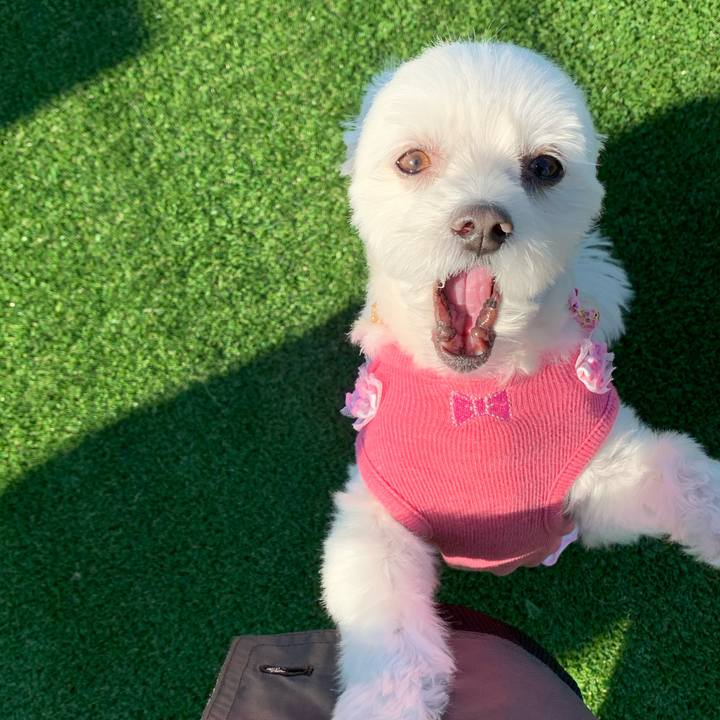 3434da00 9d76 4aa3 a14d 75e2266dcb3d 1575018246605