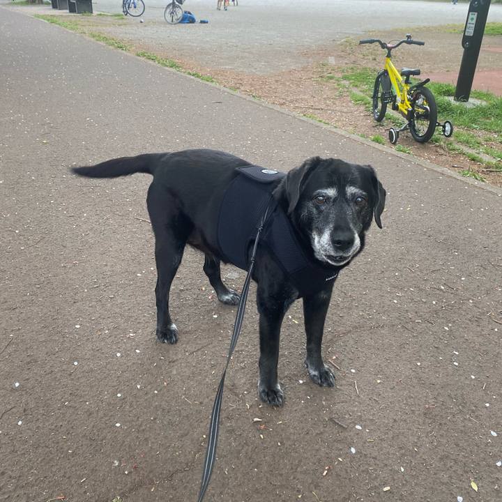 3434dbb7 3e40 4d87 bf72 158d1964fe7f 1713367631190