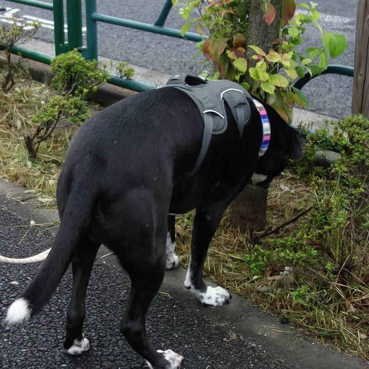 3434eadb 5b55 4a95 8c82 d9efdee0f1bc 1661903747826