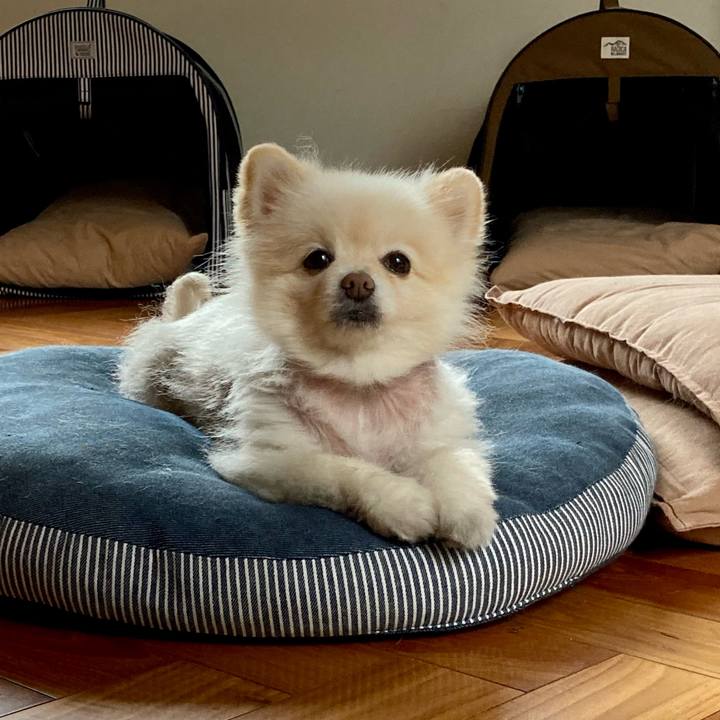 3434f4c8 d6b5 4b1b 92a6 c5a34d249ea6 1680752257743