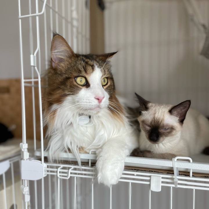 34350bc0 c9ac 4ca7 8cc0 a1870a0a6460 1693346512625