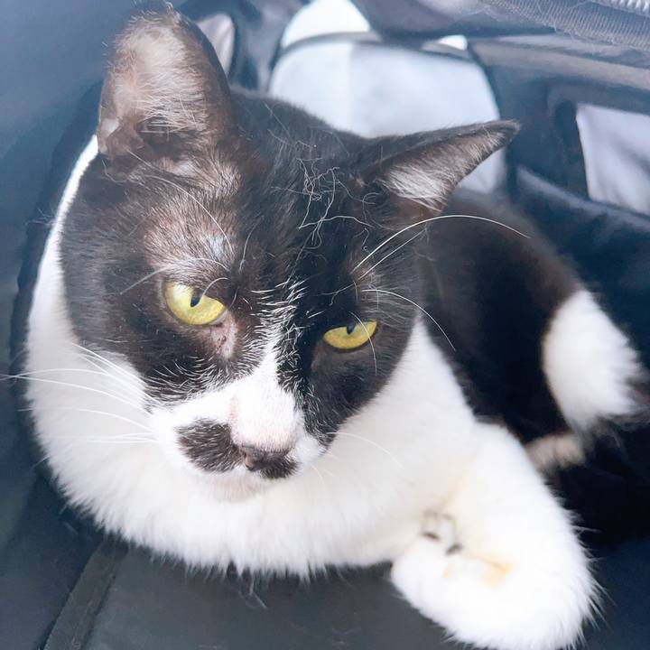 34351067 c42d 4a8c a78f 331827a93cfd 1691135088639