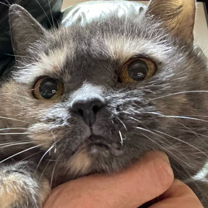 34352ace 9bd7 4981 bc3e 83f932fb3e30 1673266292002