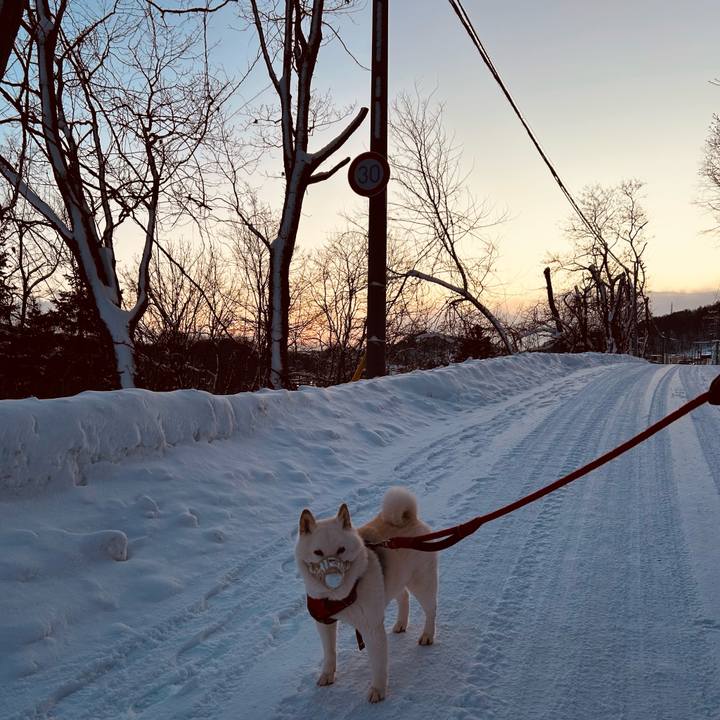 3435760d 7936 40f7 b542 b43b53474672 1767566635364